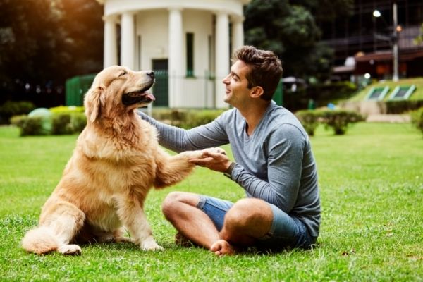 Bindung zum Hund aufbauen: Mann und Hund auf Wiese