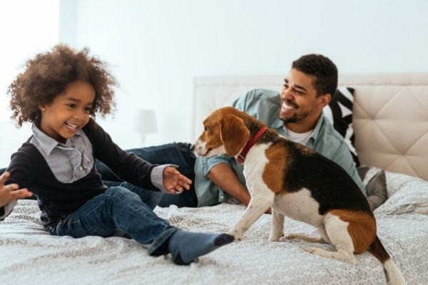 Bindung zum Hund aufbauen: Mann und Kind mit Hund