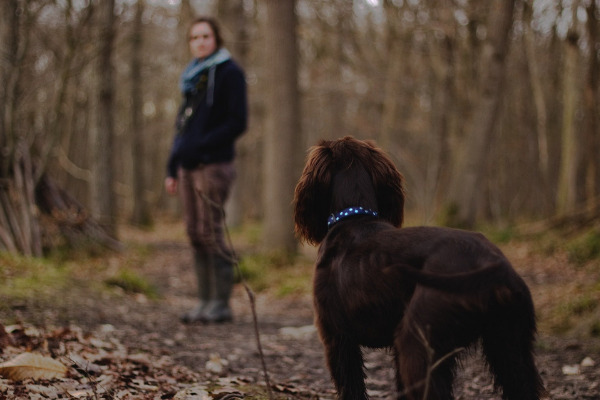 Blindenhund mit Mensch