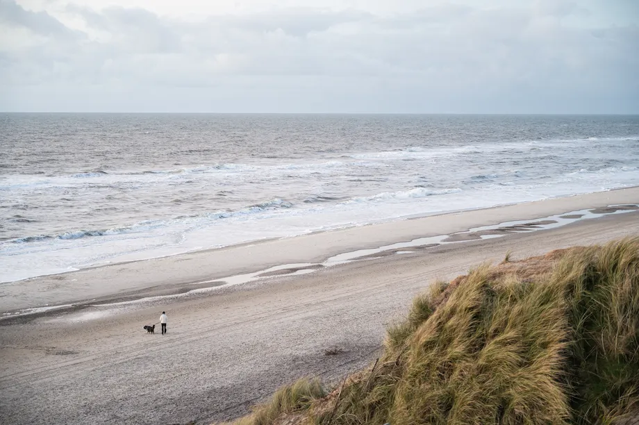 Dänische Nordseeküste im Winter