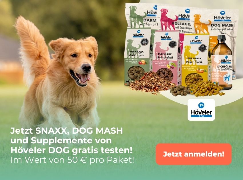 edogs Produkttest: Teste Höveler DOG Produkte gratis