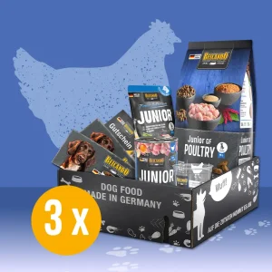 3x Dogbox Junior GF Poultry von Belcando