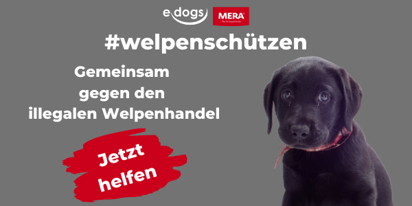 edogs-fotowettbewerb-welpenschuetzen-magazin-banner