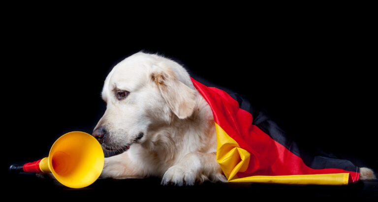 EM 2021 – Die Hunde der deutschen Fußball Nationalspieler