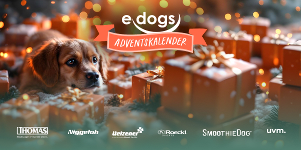 edogs Adventskalender 2025 - Jetzt auf die VIP Liste setzen lassen!
