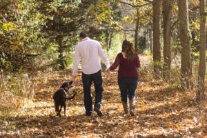 Waldspaziergang mit Hund