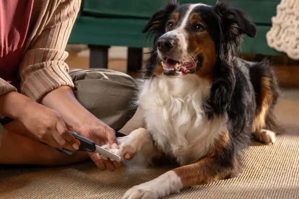 fiskars-pet-care