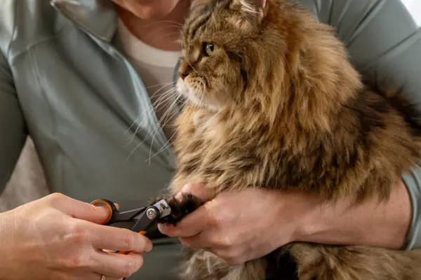 fiskars-pet-care (3)