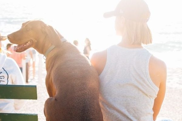 Reiseapotheke Hund: Frau mit Hund am Strand