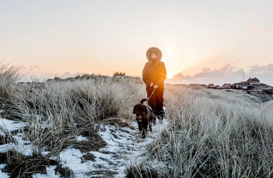 Frau geht mit einem Hund Gassi an der dänischen Nordseeküste zur Winterzeit