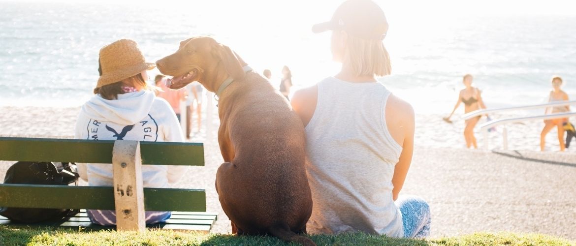 Reiseapotheke Hund: Frau mit Hund am Strand