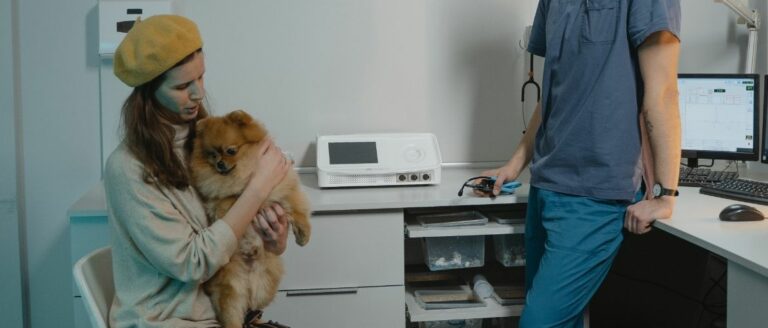 Schilddrüsenunterfunktion beim Hund Symptome &amp; Ernährung