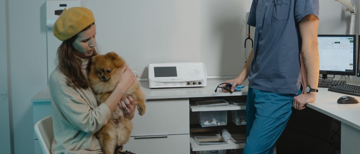 Schilddrüsenunterfunktion beim Hund Symptome & Ernährung
