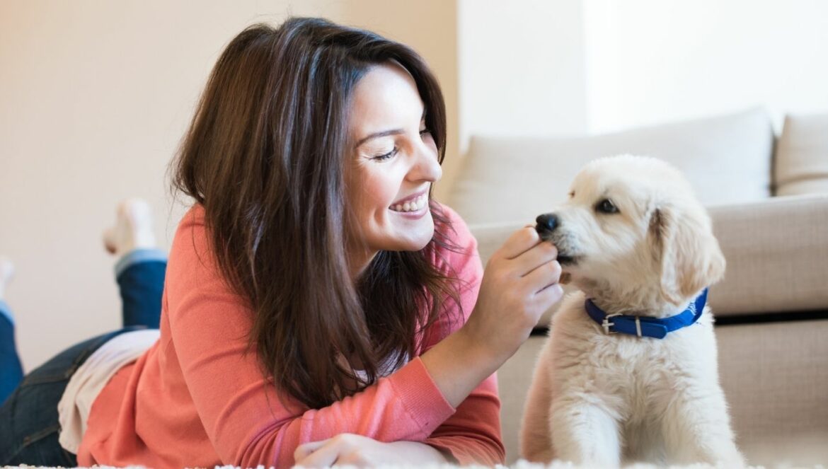 Kühlhalsband Hund Test: Frau spielt mit Welpen