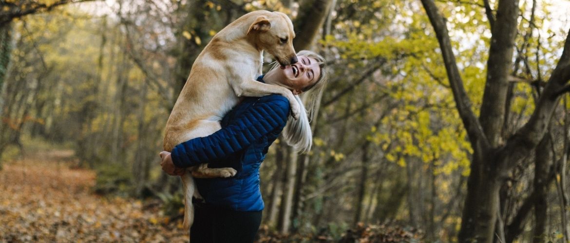 Borreliose Hund: Frau spielt mit Hund im Wald