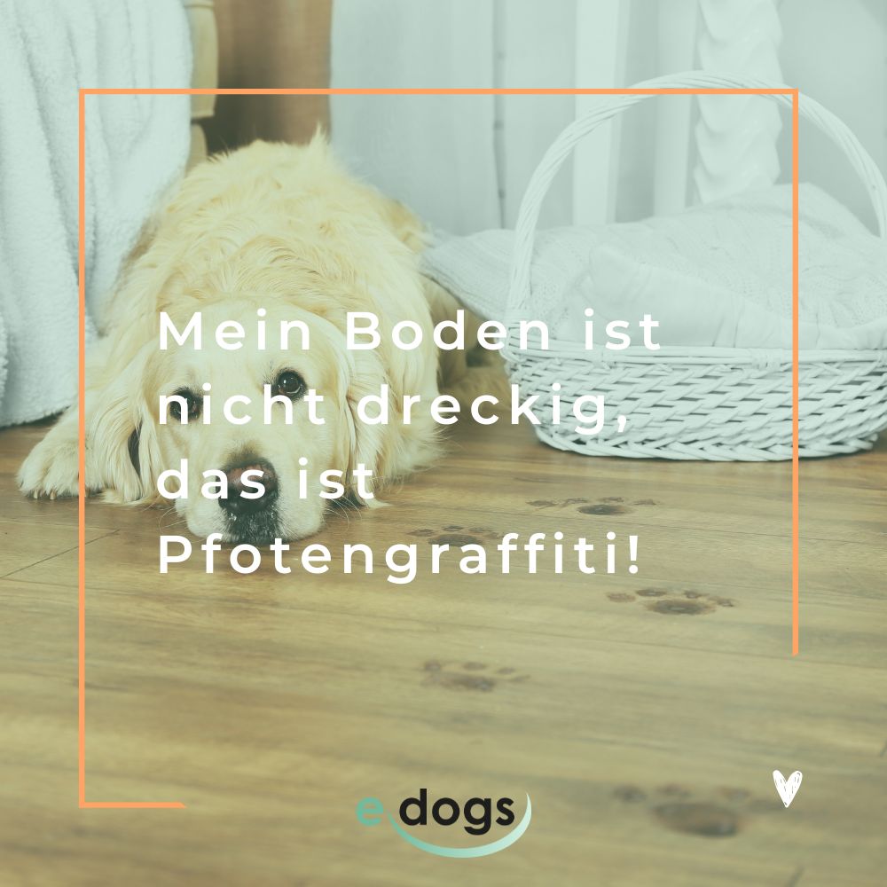 Freche Hundesprüche: Mein Hund hat keine Macken, das sind Special-Effects.