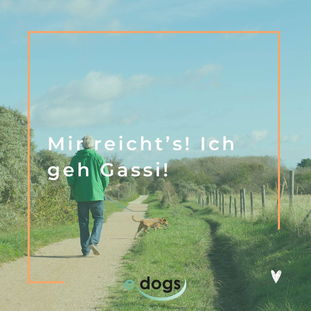 Freche Hundesprüche: Mir reicht’s! Ich geh GASSI!