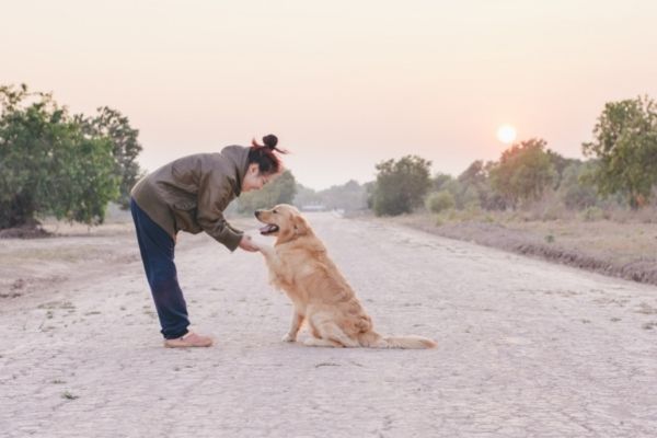 Fremde Hunde begruessen: Hund und Frau auf Sandweg