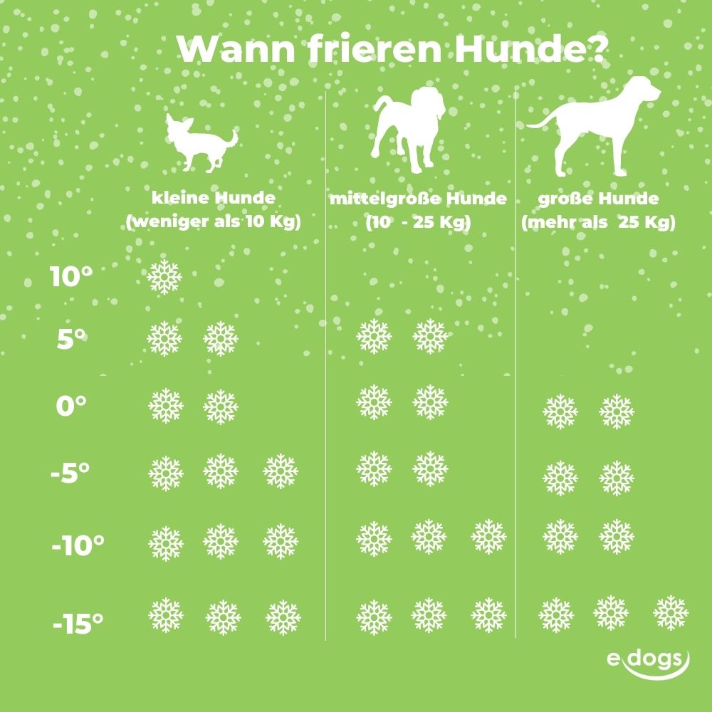 hund friert - abbildung Kälteempfinden Hund