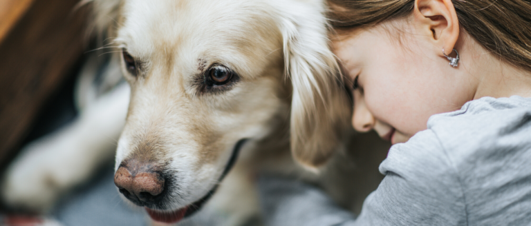 Magenumdrehung beim Hund – Alle Infos im Überblick