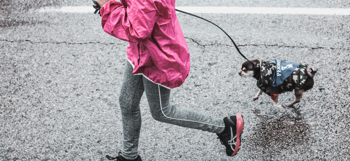 Hunderegenmantel Hundeponcho mit Kapuze & Harness Loch & Tasche Wasserdicht Winddicht Atmungsaktiv Doppellagiges Futter Regenjacke mit sicheren reflektierenden Streifen für mittelgroße Hunde 5XL 