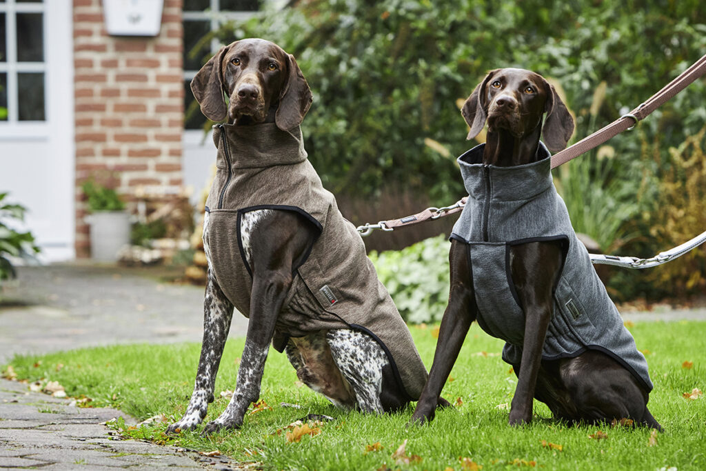 Hund friert - Hunde mit Jacken