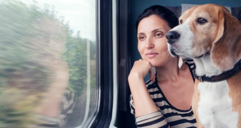 Hund im Zug – Offizielle Regelungen & Tipps zur Vorbereitung