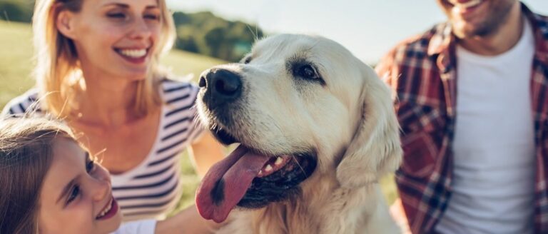 Erster eigener Hund – Worauf Du beim Hundekauf achten solltest