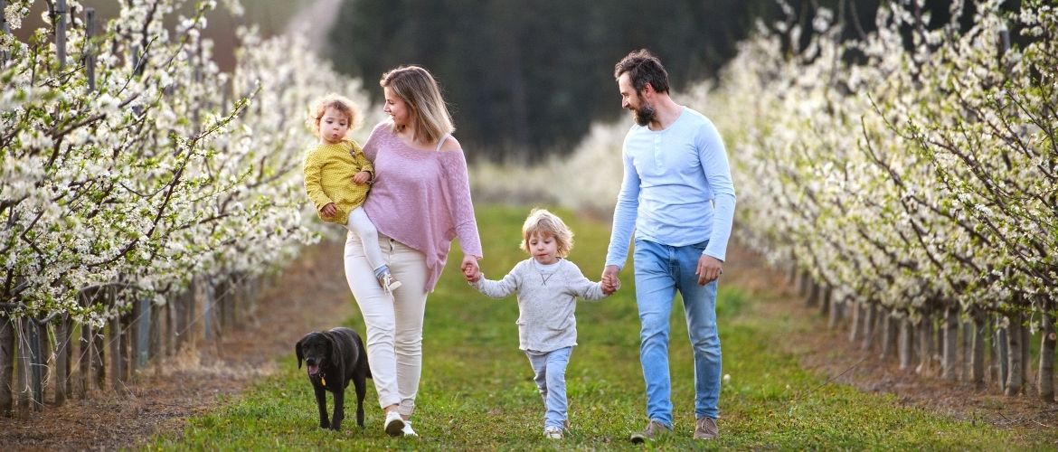 Hund und Familie in der Natur