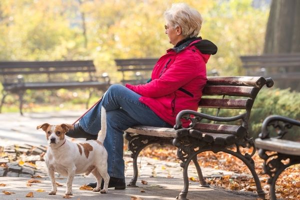 Hunderassen für Senioren: Seniorin mit Hund auf einer Parkbank