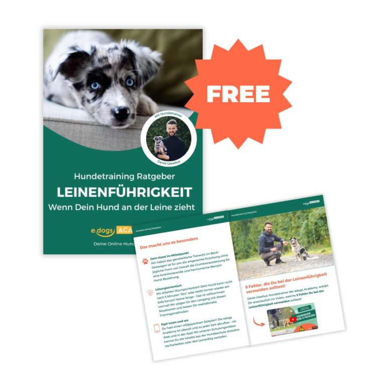 Hund zieht an Leine: Tipps im edogs ebook!