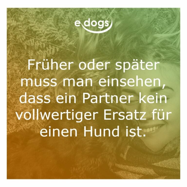 60+ Beste Hundesprüche & Weisheiten edogs.de Magazin