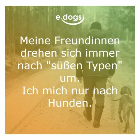 60+ Beste Hundesprüche & Weisheiten edogs.de Magazin