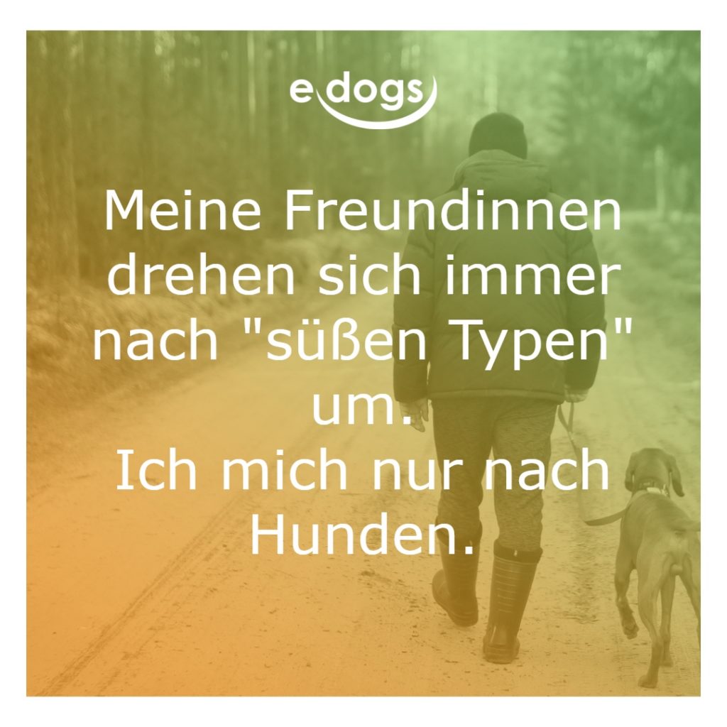 50+ Beste Hundesprüche & Weisheiten edogs.de Magazin