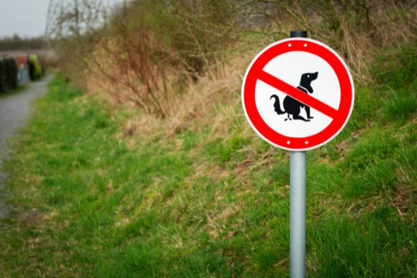 hund stuhlgang schild