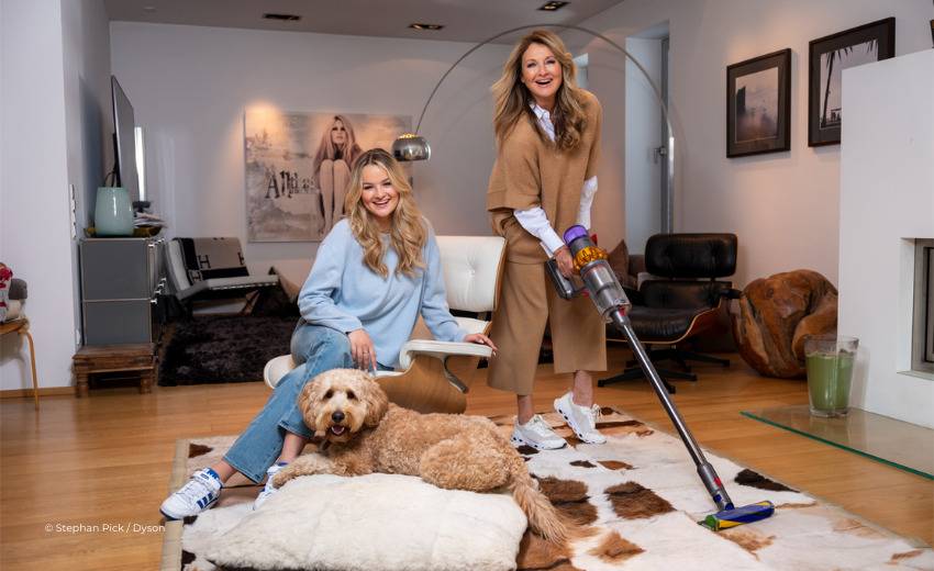 Hundehaare entfernen So entfernst Du Hundefell von Sofa, Teppich & Co. richtig edogs