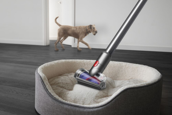 hundehaare-entfernen-staubsauger-dyson