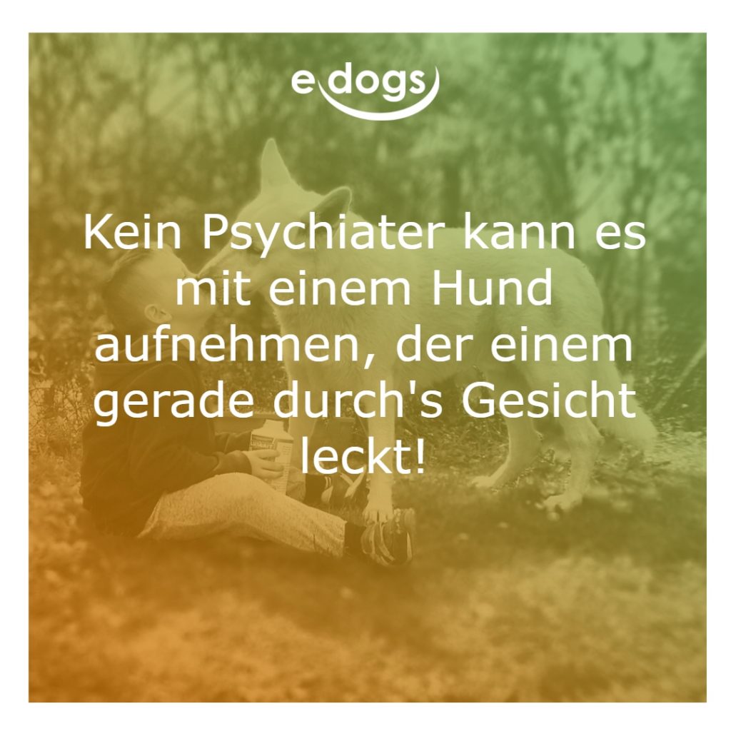 hundesprueche-1 Hundesprüche
