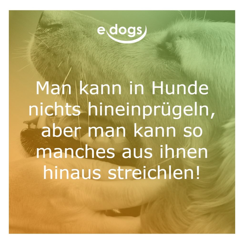 hundesprueche-12 Hundesprüche