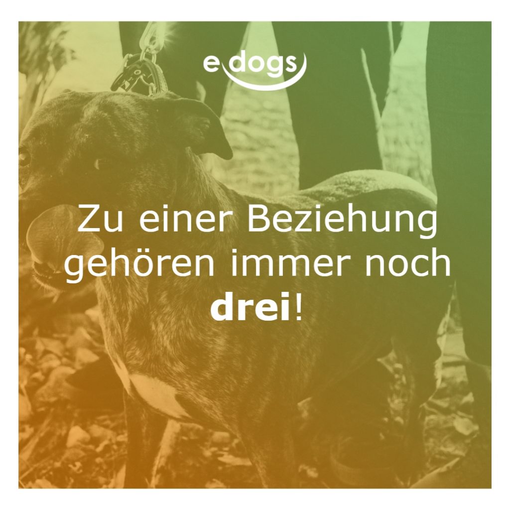 hundesprueche-14 Hundesprüche