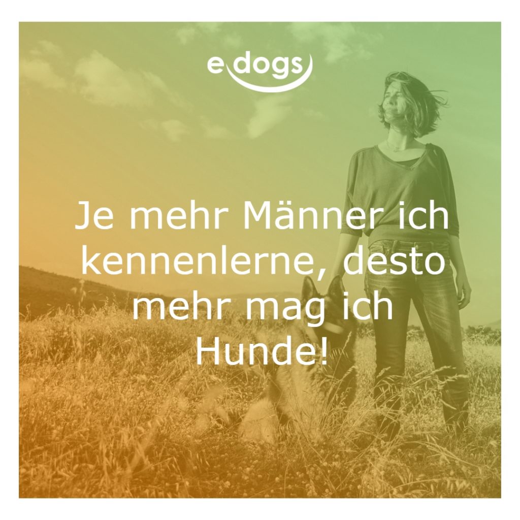50+ Beste Hundesprüche & Weisheiten edogs.de Magazin