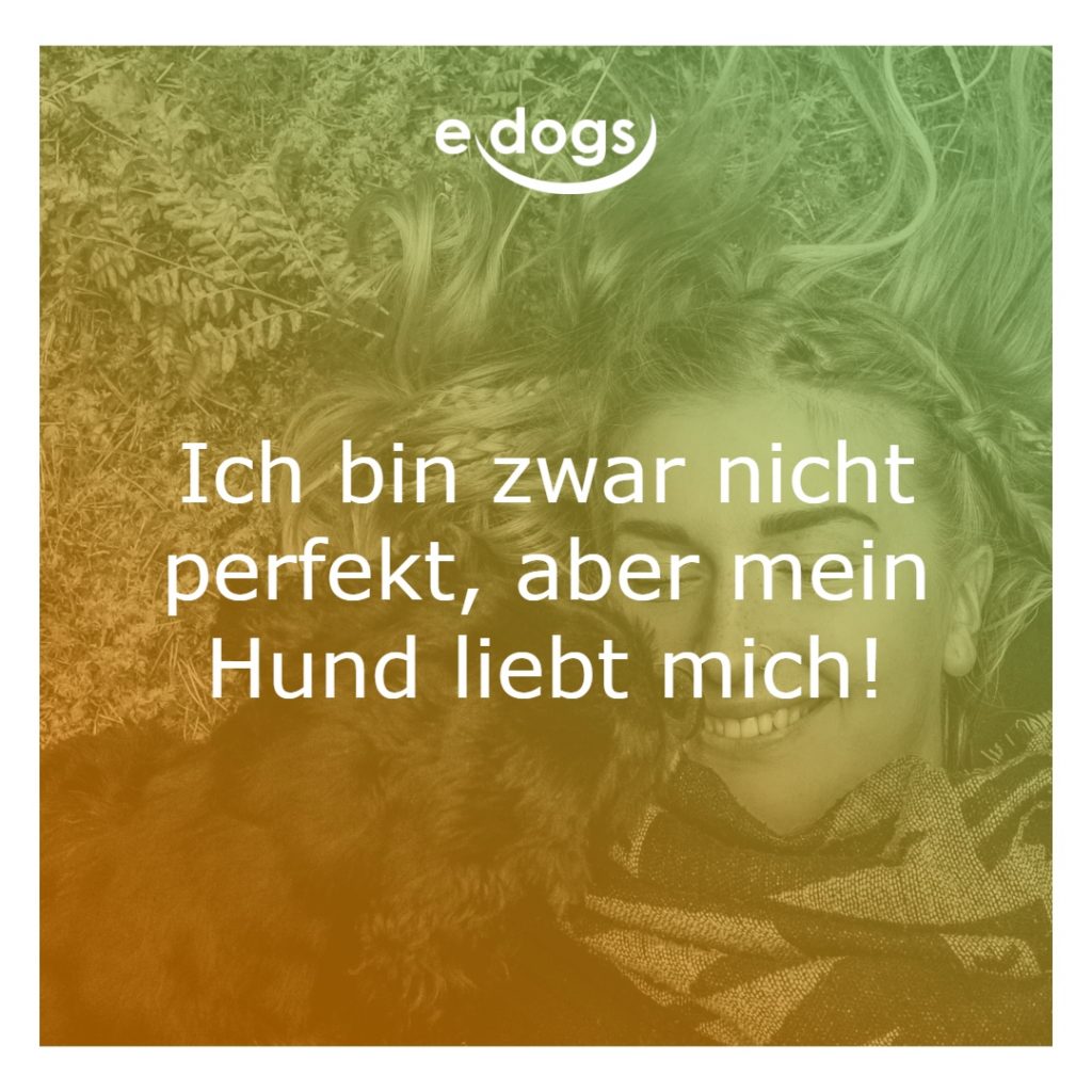hundesprueche-16 Hundesprüche