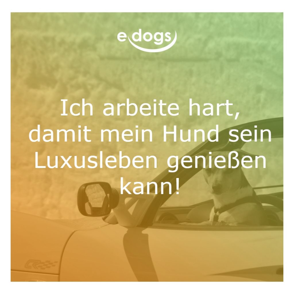 hundesprueche-18 Hundesprüche