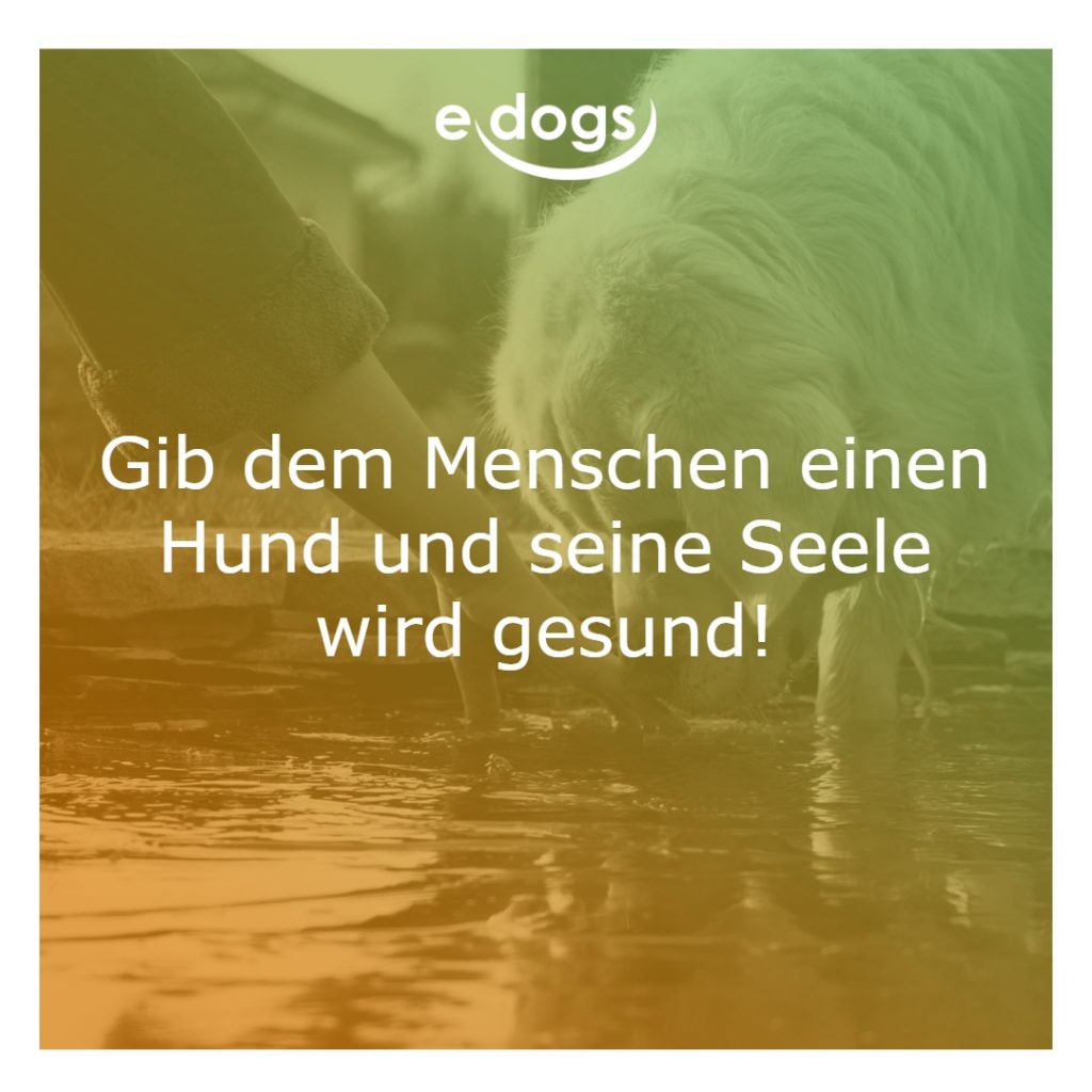 hundesprueche-3 Hundesprüche