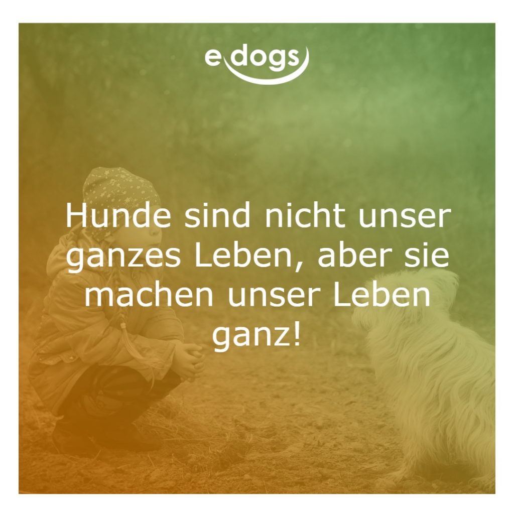 hundesprueche-4 Hundesprüche
