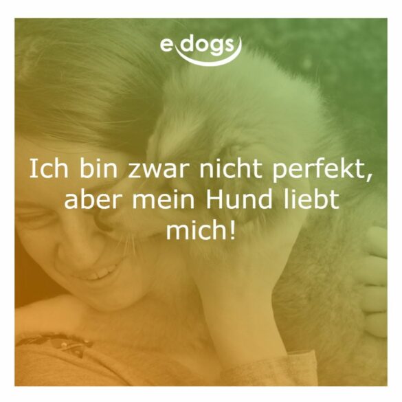 50+ Beste Hundesprüche & Weisheiten edogs.de Magazin