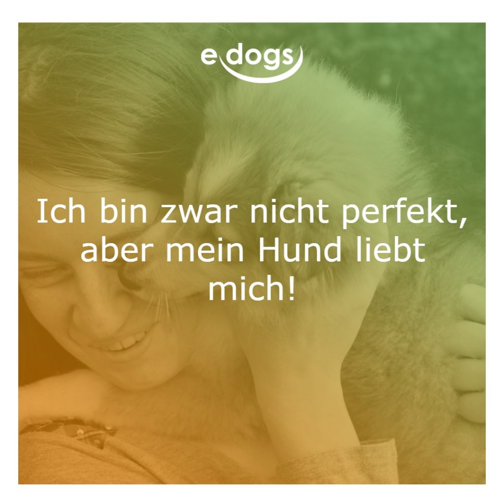 hundesprueche-5 Hundesprüche