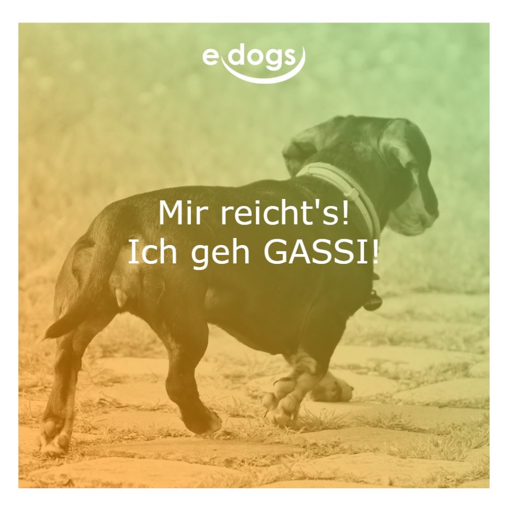 hundesprueche-6 Hundesprüche