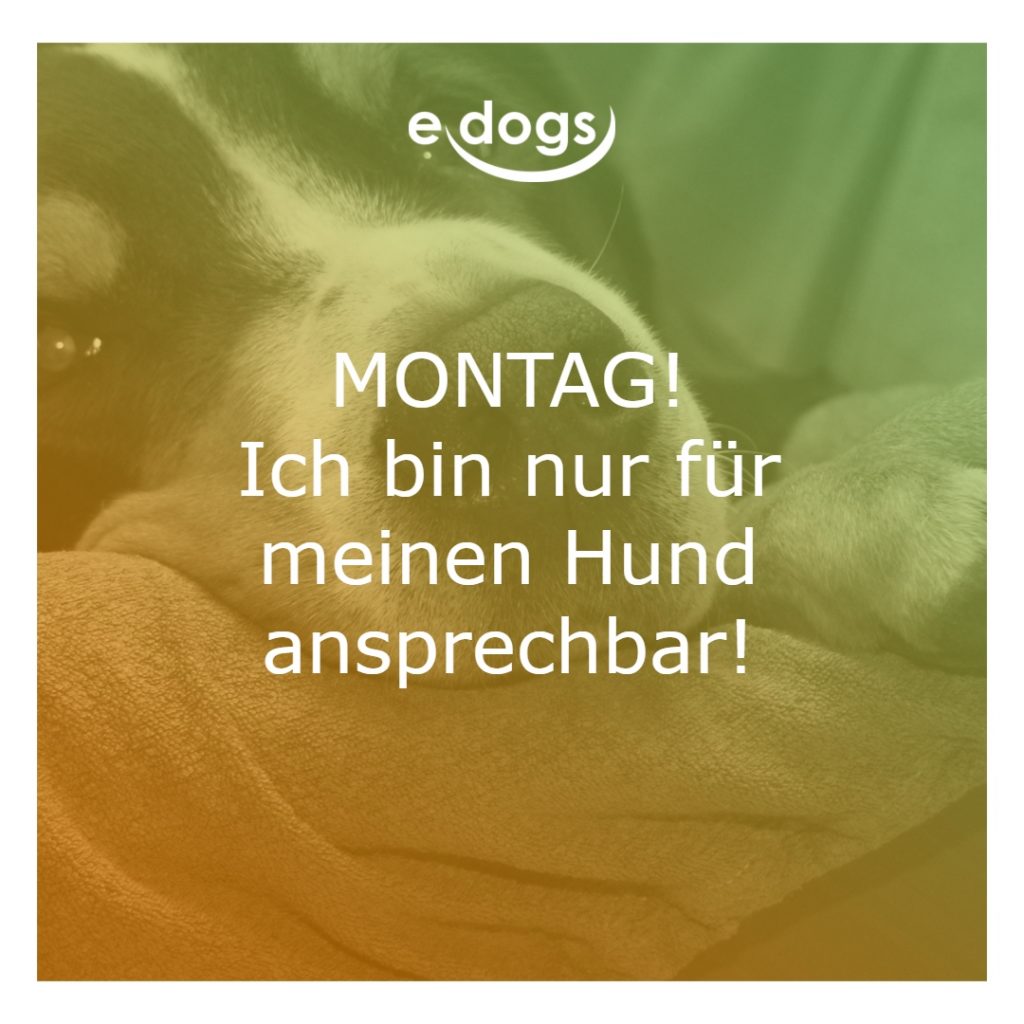 hundesprueche-9 Hundesprüche