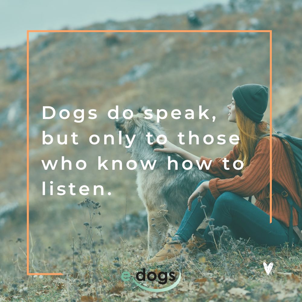 Hundesprüche Englisch: Dogs do speak, but only to those who know how to listen.